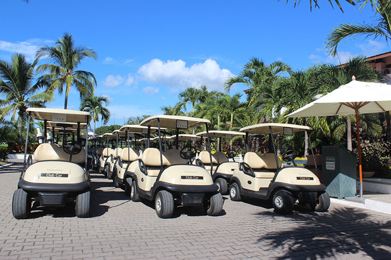 flamingos golf (17)