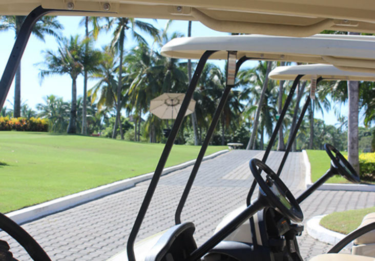 flamingos golf (61)-crop-u29408