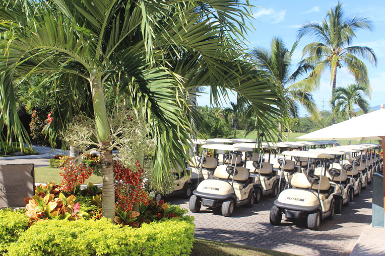 flamingos golf (46)