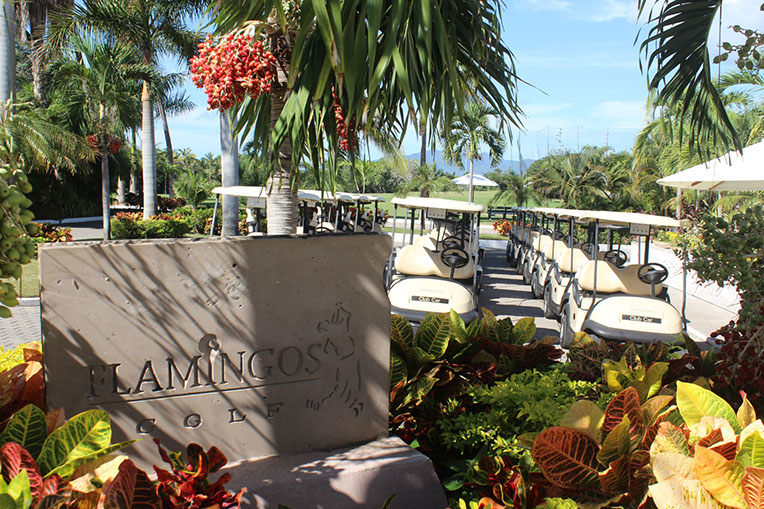 flamingos golf (50)