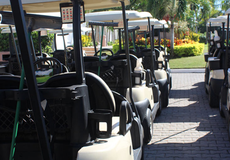 flamingos golf (57)-crop-u29402