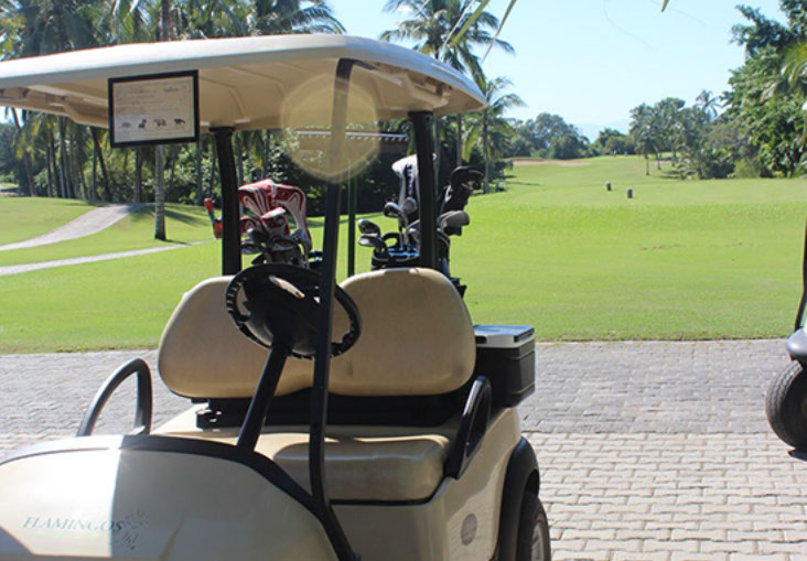 flamingos golf (87)-crop-u29414